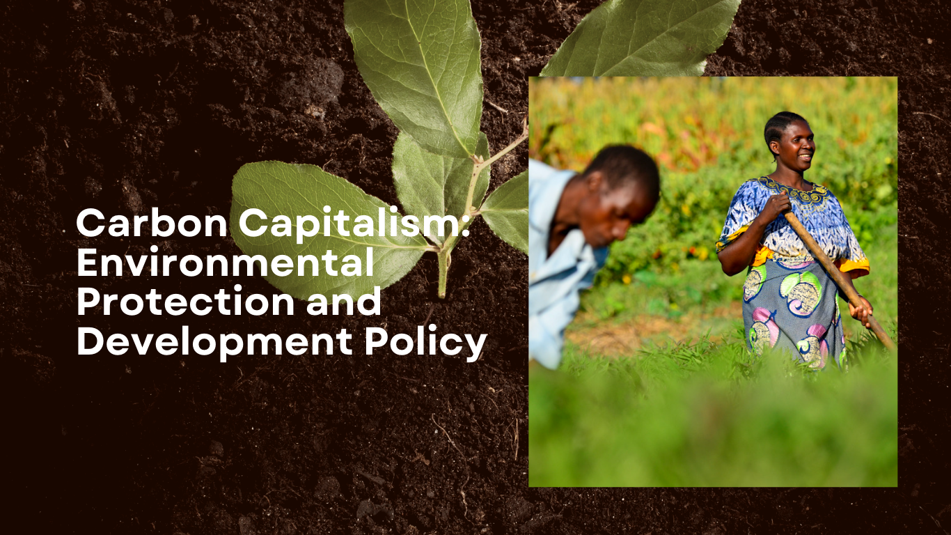 Carbon Capitalism: Environmental Protection and Development Policy
