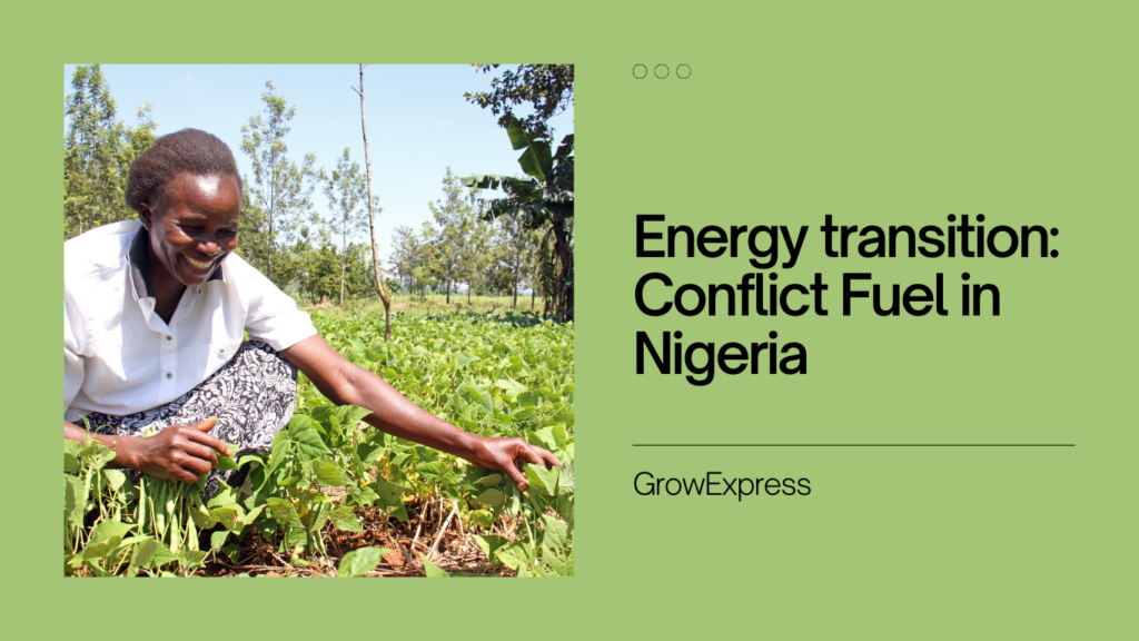 Energy transition: Conflict Fuel in Nigeria