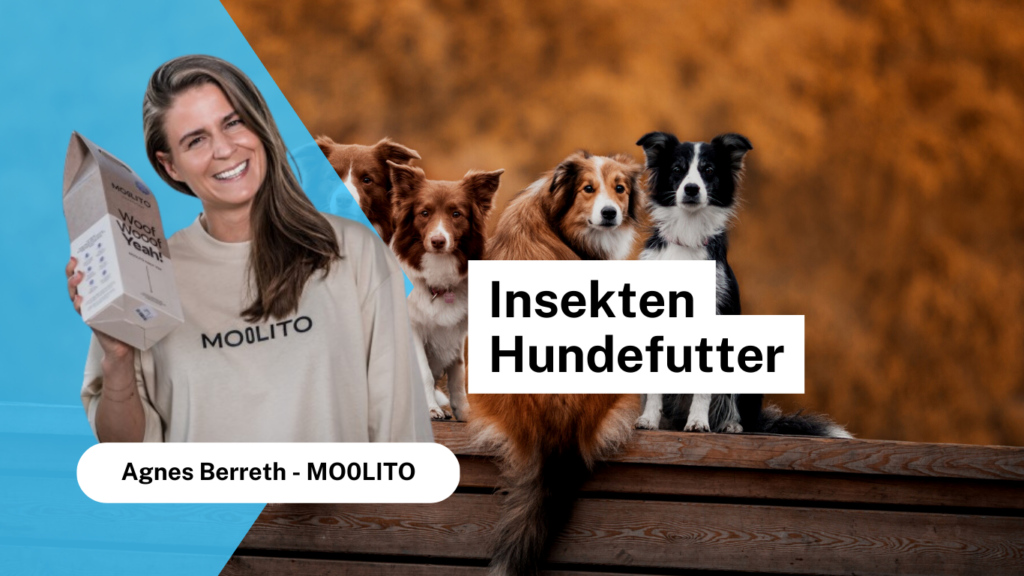 Moolito baut auf Insekten Hundefutter gegen Allergien