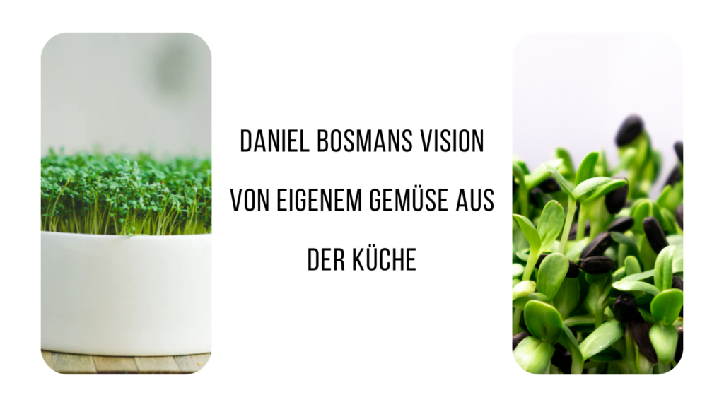 Daniel Bosmans Vision von eigenem Gemüse aus der Küche