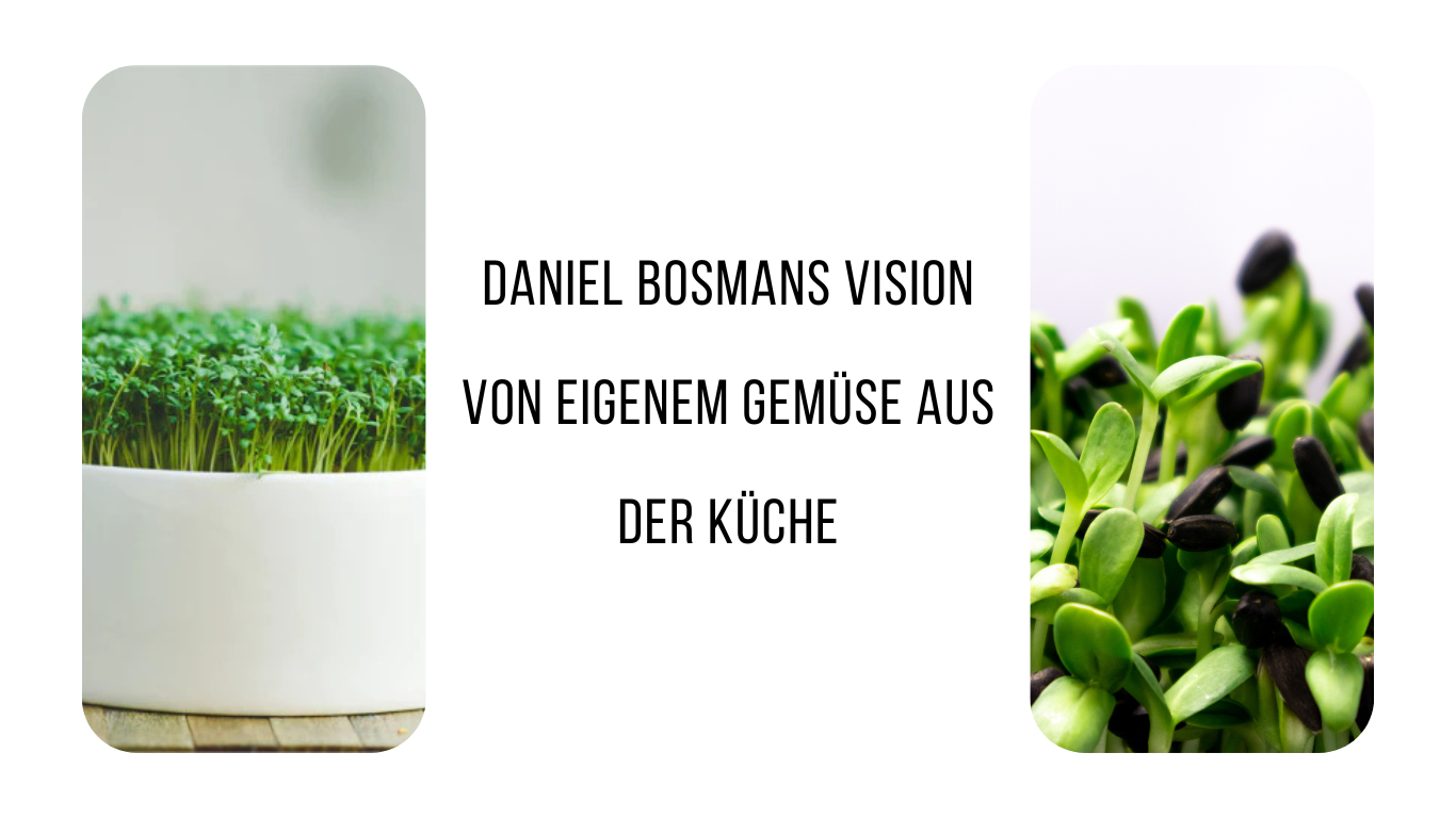 Daniel Bosmans Vision von eigenem Gemüse aus der Küche