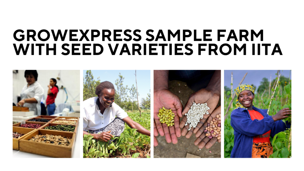 GrowExpress sample farm with seed varieties from IITA