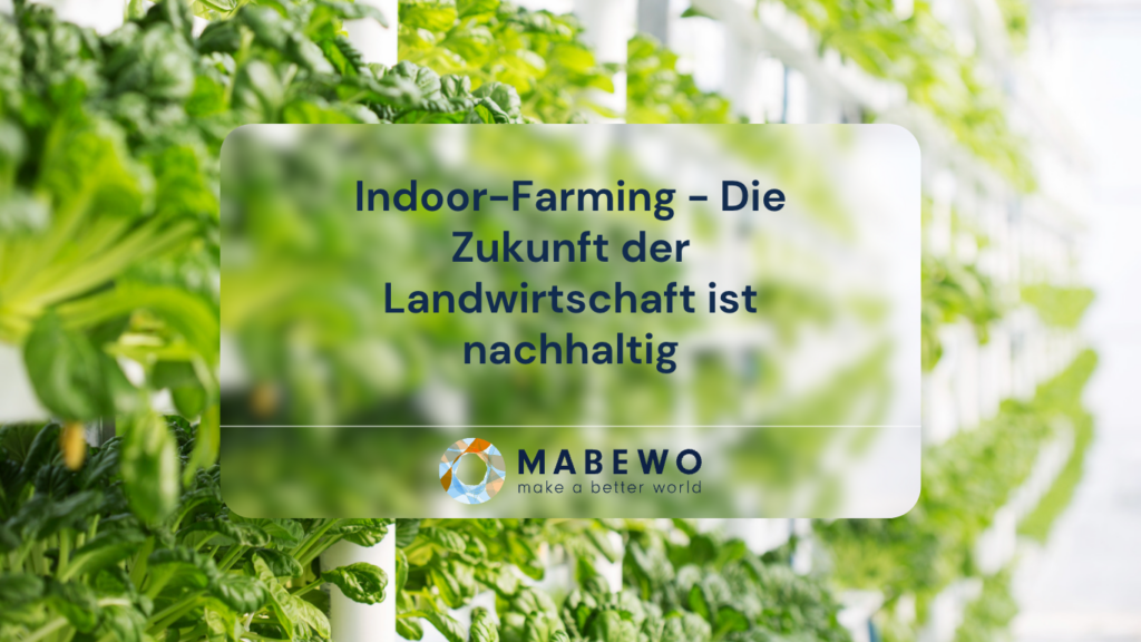 MABEWO AG - Nachhaltige Landwirtschaft