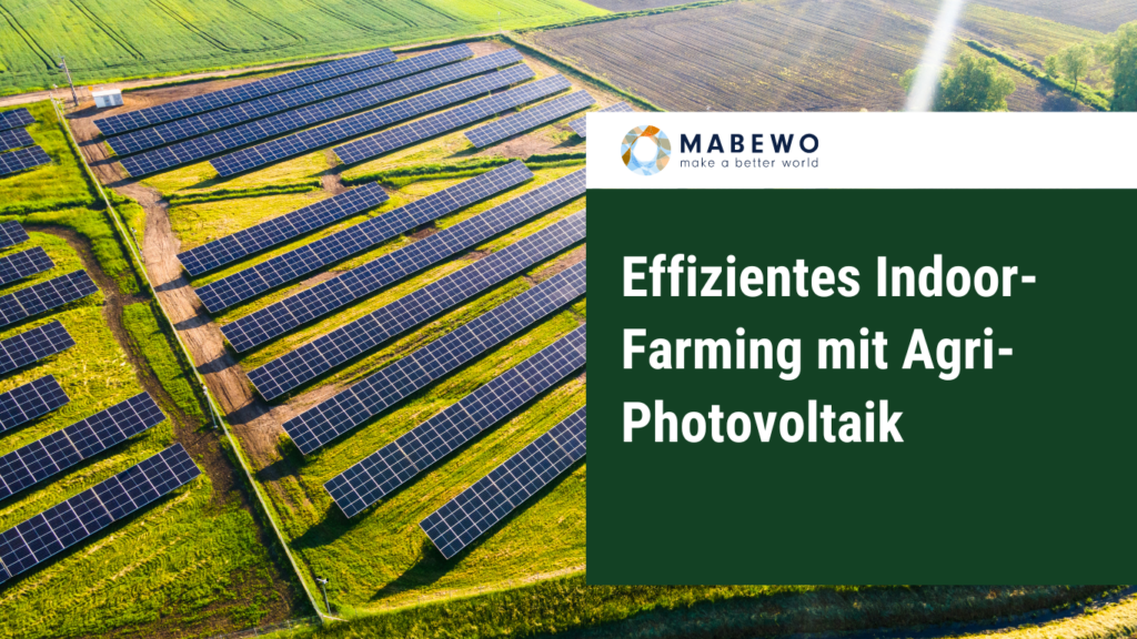 Effizientes Indoor-Farming mit Agri-Photovoltaik 3 mabewo titelbild artikel