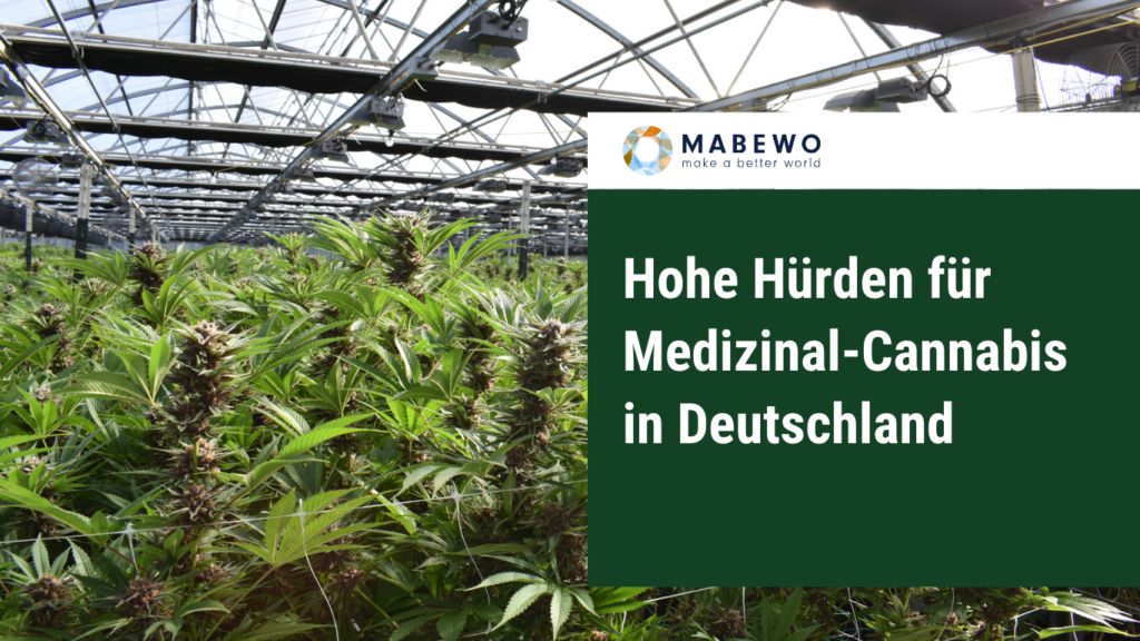 Hohe Hürden für Medizinal-Cannabis in Deutschland 7 MABEWO AG - Cannabis