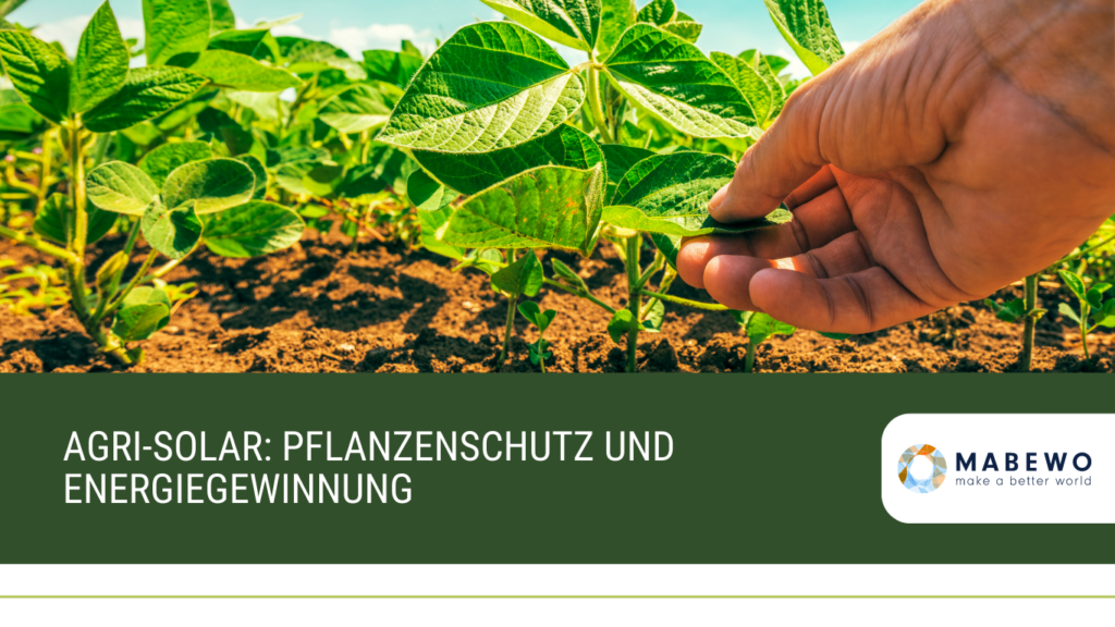 MABEWO - Agri-Solar