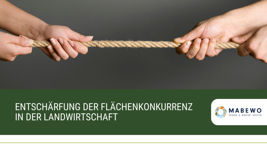 MABEWO - Flächenkonkurrenz
