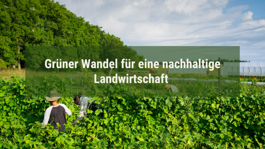 MABEWO - Grüner Wandel für eine nachhaltige Landwirtschaft