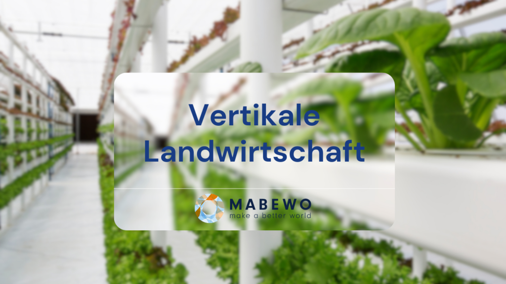 MABEWO - Vertikale Landwirtschaft