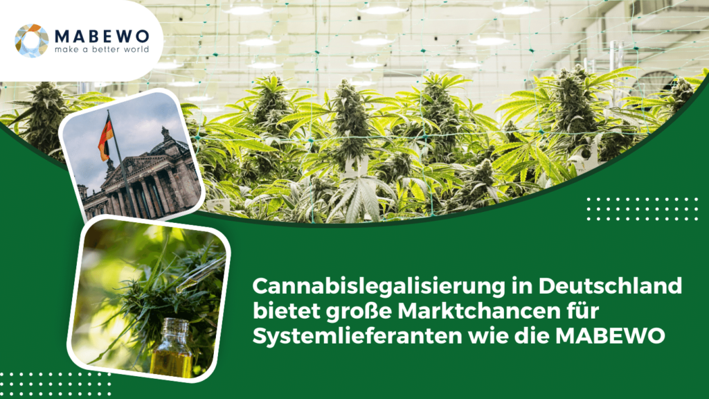 MABEWO - Cannabislegalisierung